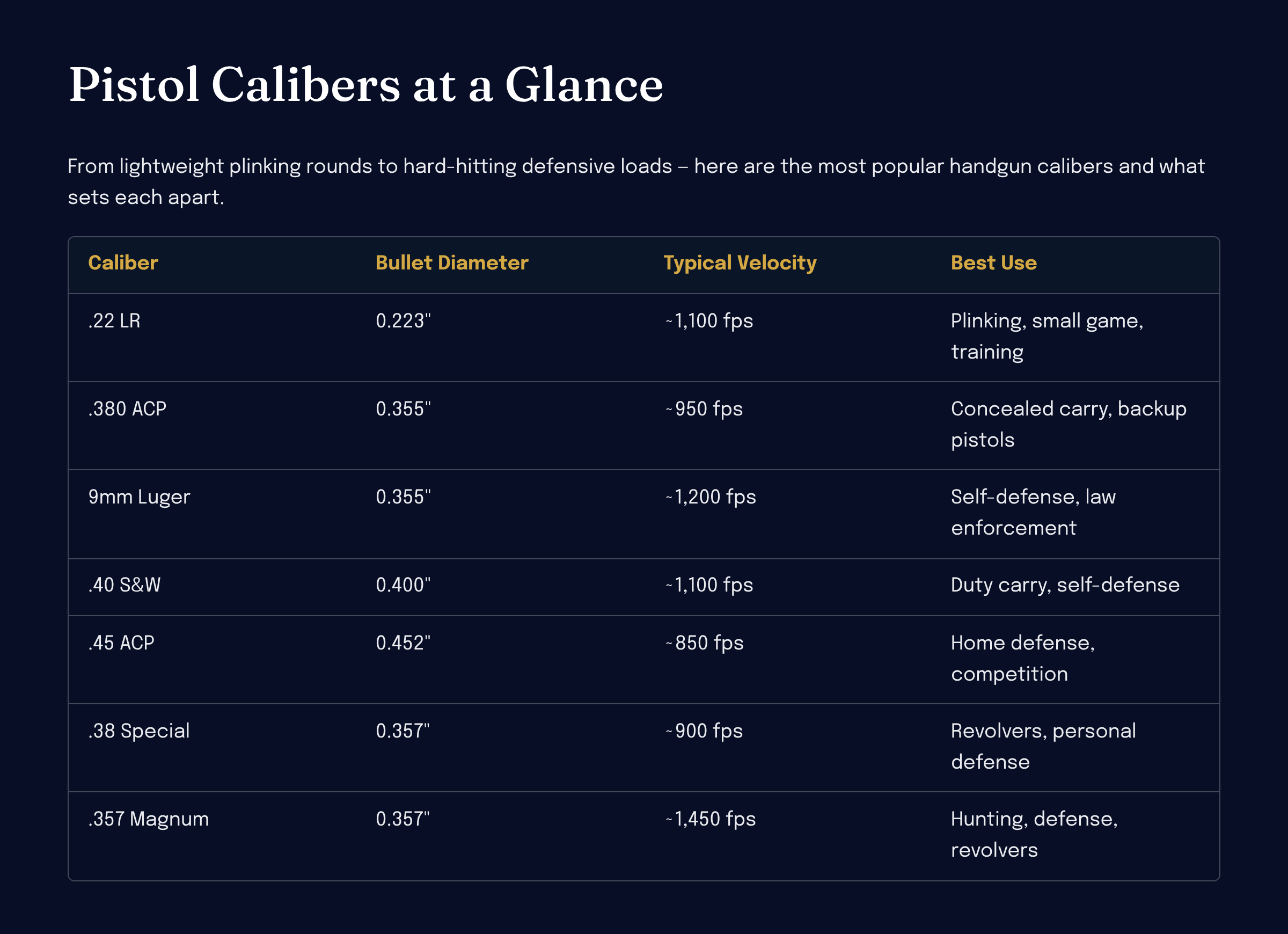 Visual caliber size comparison from .22 LR to 12 gauge