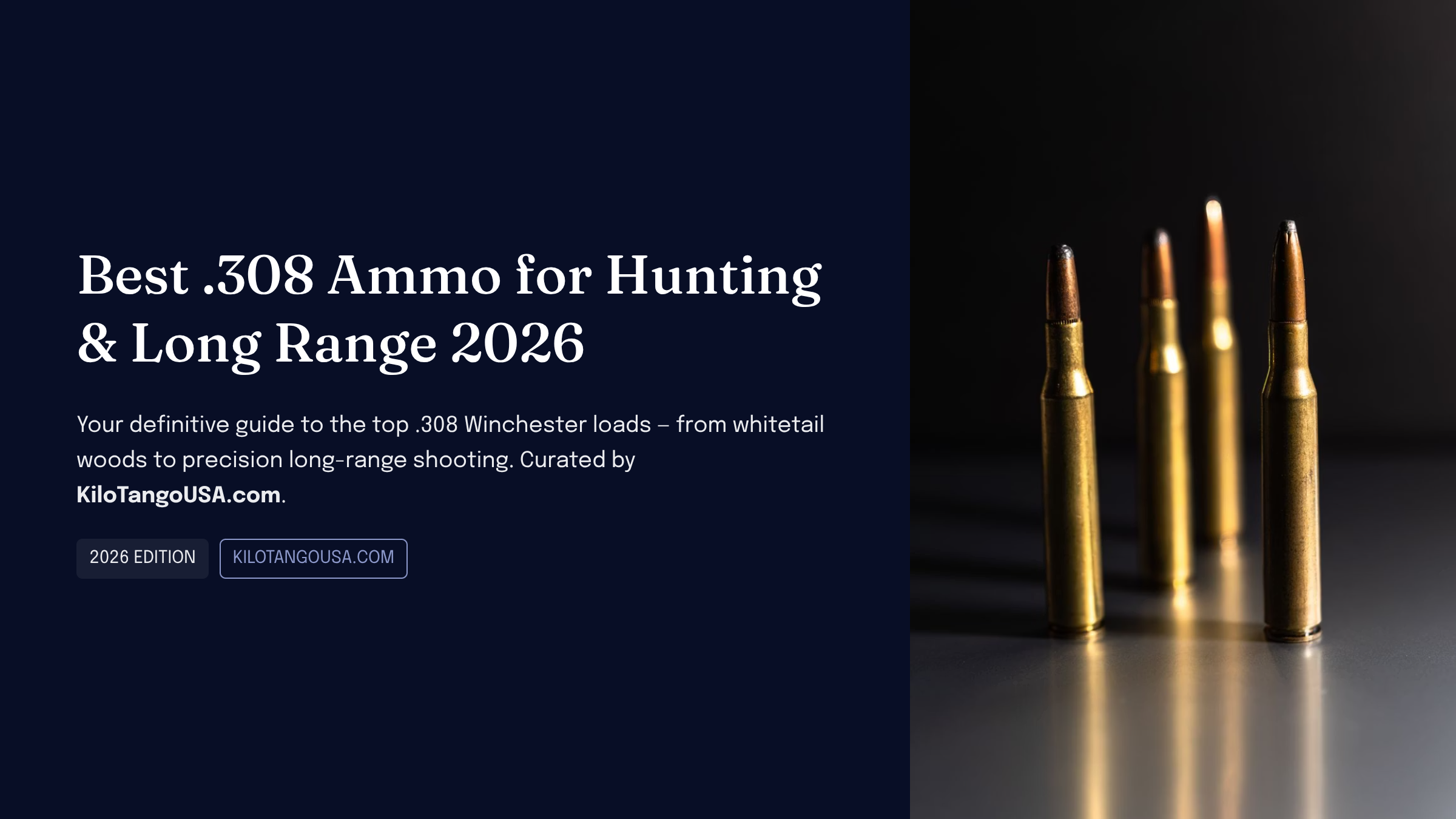 Best .308 Winchester ammo for hunting and long range in 2026 — Kilo Tango buying guide